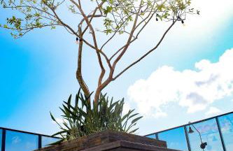 Flat Alto Padrão em Tambaú - Foto 32