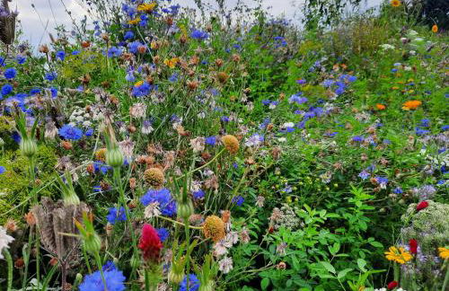 Ostseerauschen - Foto 51