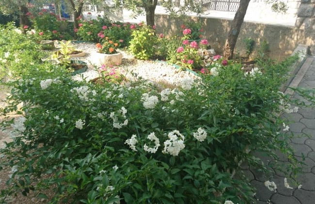 Dorica - Flower Garden - A1 - Foto 11