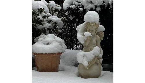 Am Wiiwegli Comfortable holiday residence - Foto 3, Other