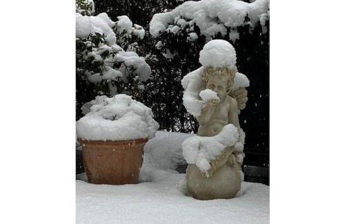 Am Wiiwegli Comfortable holiday residence - Foto 3