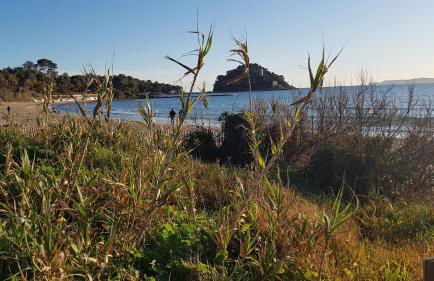 Rez de Jardin T3 recent et calme au Nouvelles Terres à La Londe les Maures - Foto 30