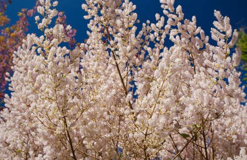 Chalé Flores e Amores - Photo 56