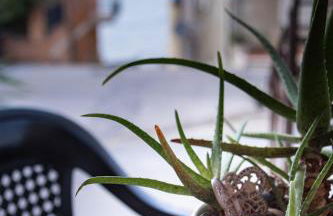 Casa Caronia marina near Cefalù - Foto 22