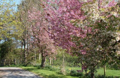 4 Bed in Painscastle 90375 - Foto 25