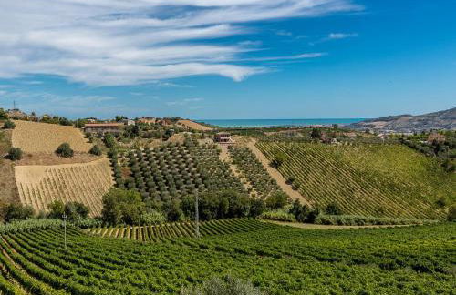 Agriturismo Il Sapore Della Luna - Foto 68