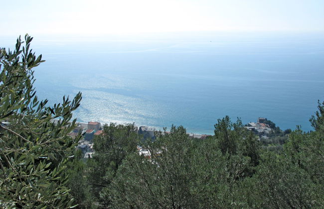 Francesca (VGO210) - Foto 16