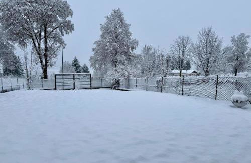 Cuori, Cervi e Caprioli - Foto 10