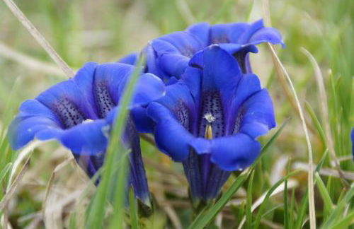 Ferienwohnung Soiernblick Krün Bärnbichl - Foto 14