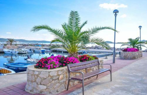 Apartman Branka - Photo 19