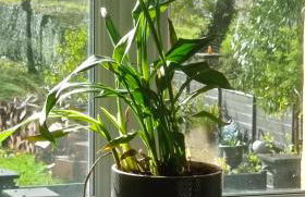 La Sarriette proche des plages du débarquement - Photo 6