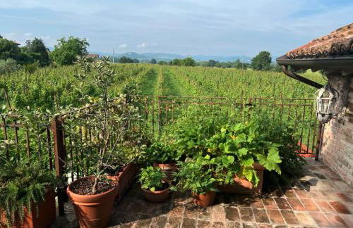 Casale Hortensia - Foto 45