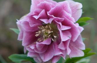 Tenuta Agriturismo La Borina - Foto 50