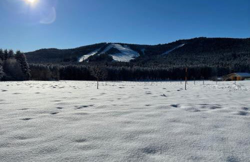 Ferienhaus Birke - Foto 62