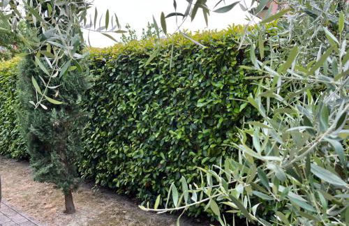 Holiday House La Fornace - Foto 13