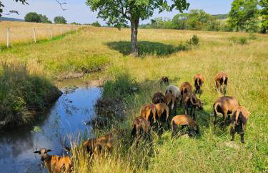 Agroturystyka Bocianie Gniazdo - Foto 28