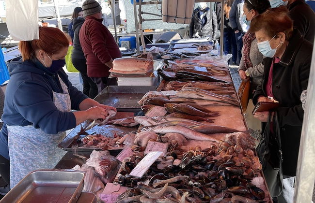 Sunrise Apt Near Beach, Wifi, Smarttv 60, Netflix - Foto 16