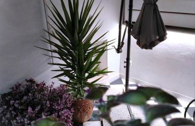 LianHome b&b "Terrazzino" - Foto 46