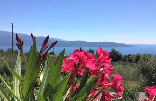 Caselli Vigole al Sole - Foto 52