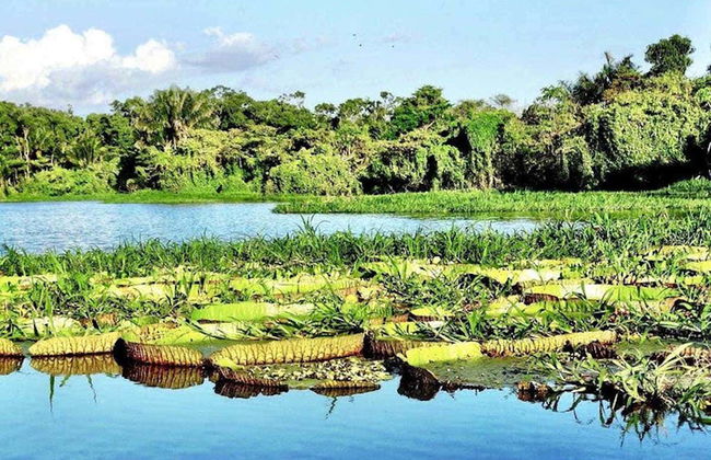 Tour por el lago do Maicá - Foto 4