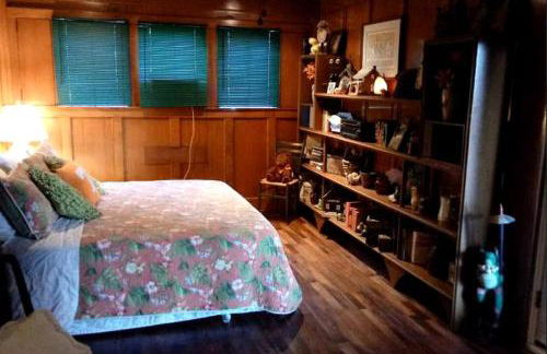 Romantic Suite Rental with Terrace and Chimenea near Gatlinburg, Tennessee - Foto 5