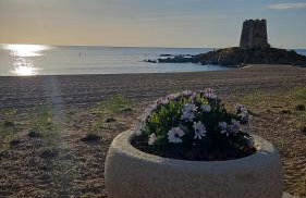 Il Faro d'Ogliastra - Foto 65