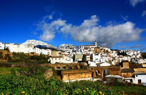 Casa Rural Sierra de las Nieves - Foto 29