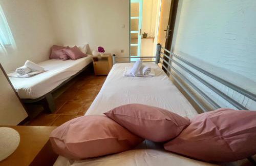 Kolonjicha Dvori - Foto 24