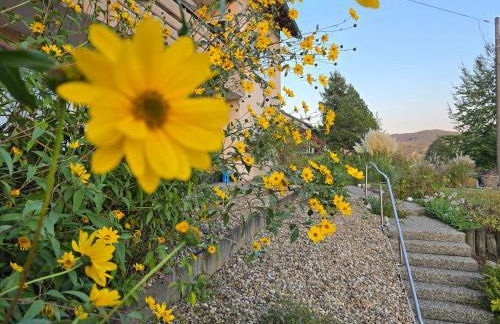 Ferienwohnung Fornsbachblick - Foto 10