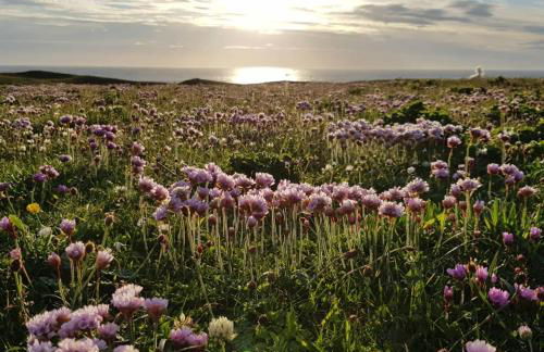 Hebrides Bothy - Photo 59