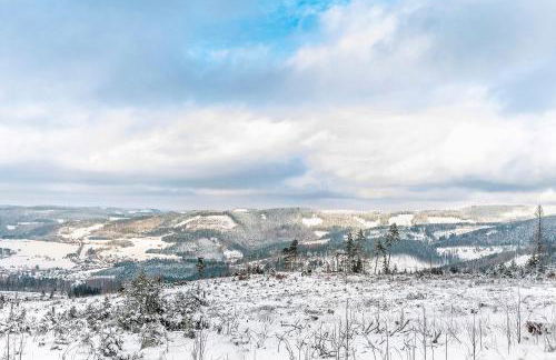 Nurdachhaus Sauerland - Foto 22