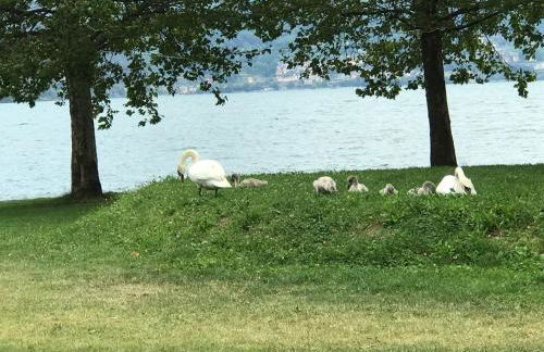 Appartamento Lake Como - Foto 27