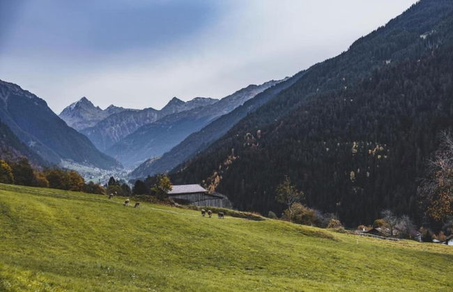 Apartment in St. Gallenkirch Near Ski Lift - Foto 39