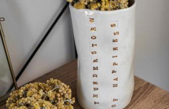 Maison Cachée - Chambres et Appartements en Baie de Somme - Foto 28