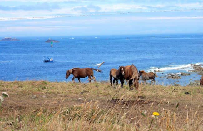 Holiday Home in Plouarzel Near Sandy Cove - Foto 27