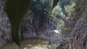 La casa dei nonni - Foto 5