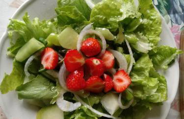 Zakątek Szczęścia Eko Agroturystyka - Foto 32