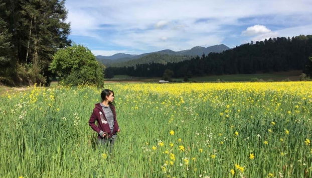 Trilha pelos Bosques do Nevado de Toluca - Foto 5