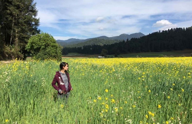 Nevado de Toluca National Park Hikes - Photo 9