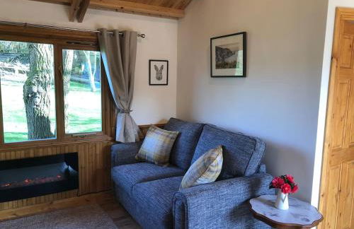 Cosy dog friendly lodge with an outdoor bath on the Isle of Wight - Foto 11