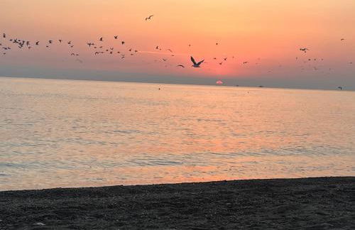 B&B Terry Home - Foto 19