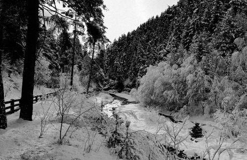 Appartamento Fiordalpe - Foto 46