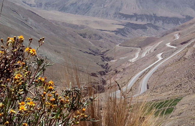 Excursion aux Salinas Grandes - Photo 6