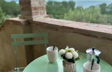 L'oasi delle volpi - Foto 18