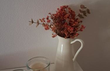 Can Vibru Vilallonga - Foto 8