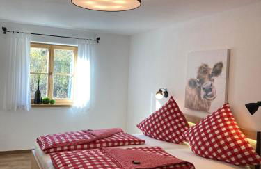 Ilgerhof Ferienwohnungen - Foto 14