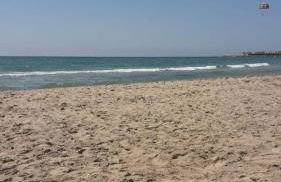 Privileged setting close to Plaza Mar 2 - Photo 54