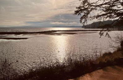 Oasis By The Sea - Foto 42