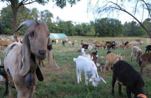 La Bohème - Foto 60