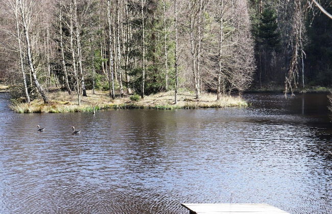 4 Person Holiday Home in Knared-by Traum - Foto 12